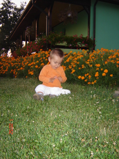 DSC06414