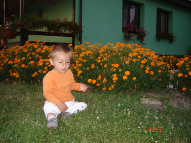 DSC06417