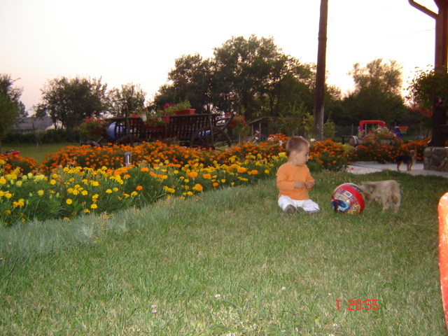 DSC06421