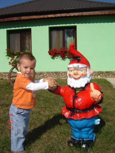 DSC06654 - florile din jurul casei