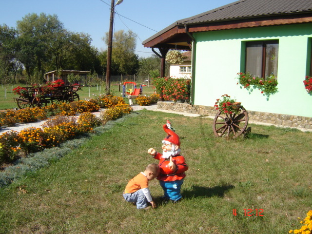 DSC06659 - florile din jurul casei