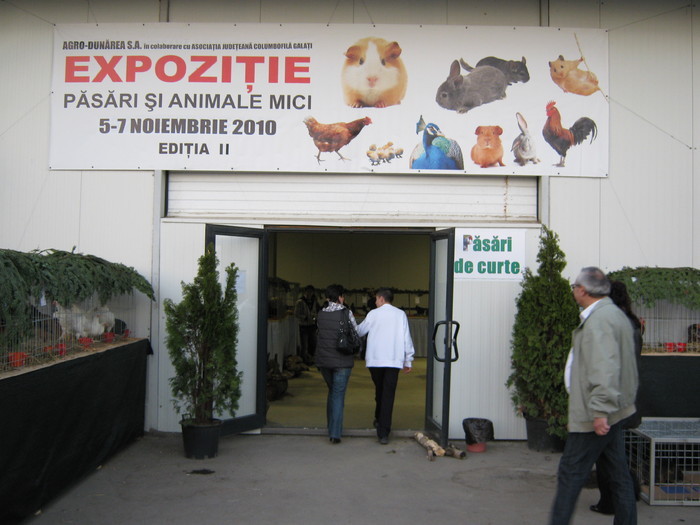 la expo Galati - prietenii mei a barataim