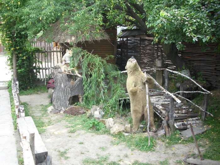 ,,Ursul pacalit de vulpe" - In concediu prin tara