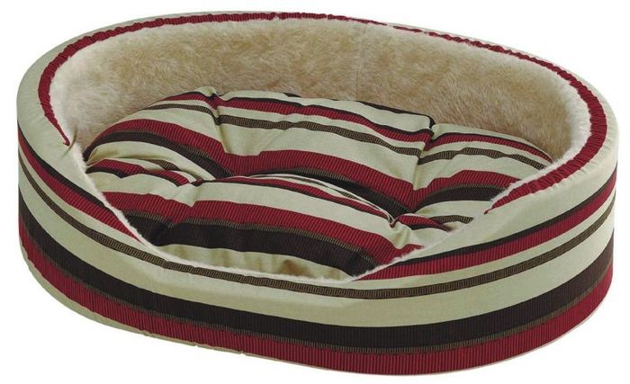 patut pt. catelus(cumparat)