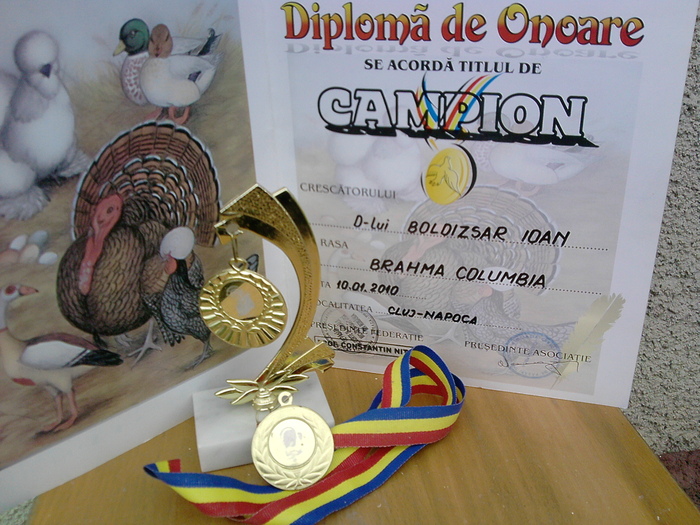 campion judetean ian 2010 - CUPE si DIPLOME 2010-2013