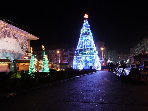 3141193060_48e3ba0f55