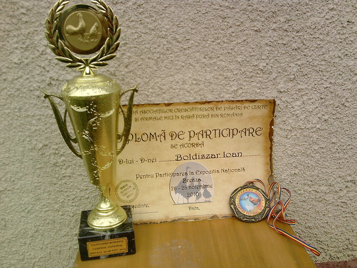 diploma de participare Breaza 2010 - CUPE si DIPLOME 2010-2013