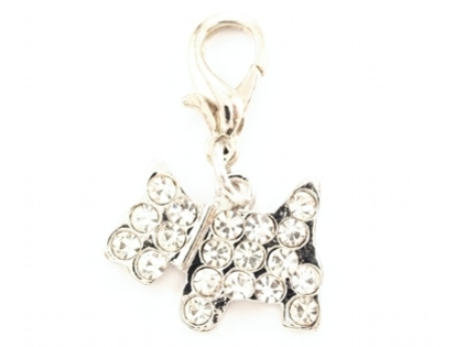 medalion pt catelus(cumparat)