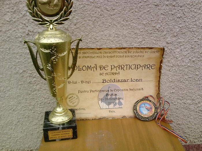 diploma de participare 2010 Breaza - CUPE si DIPLOME 2010-2013