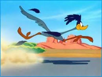 Road Runner and Wile E Coyote - Road Runner and Wile E Coyote