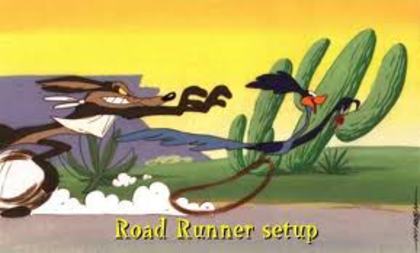 Road Runner and Wile E Coyote - Road Runner and Wile E Coyote