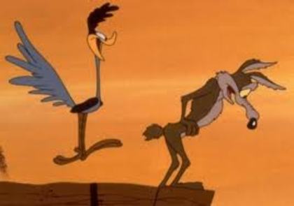 Road Runner and Wile E Coyote - Road Runner and Wile E Coyote