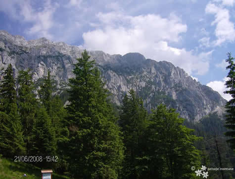 medii-piatra-craiului-2 - peisaje