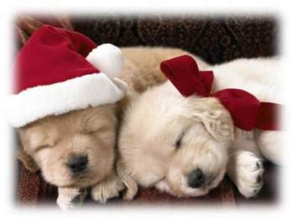 03734910012284938344939540a5b304159079806