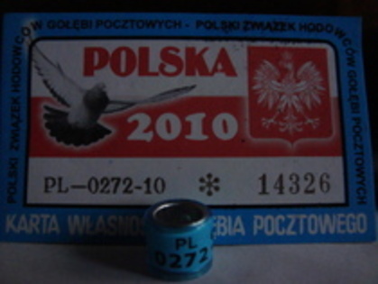 polonia 2010 - Polonia