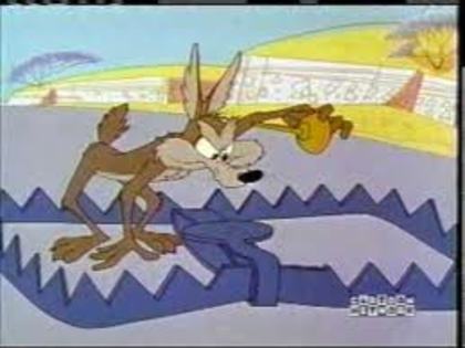 Road Runner and Wile E Coyote