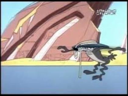 Road Runner and Wile E Coyote - Road Runner and Wile E Coyote