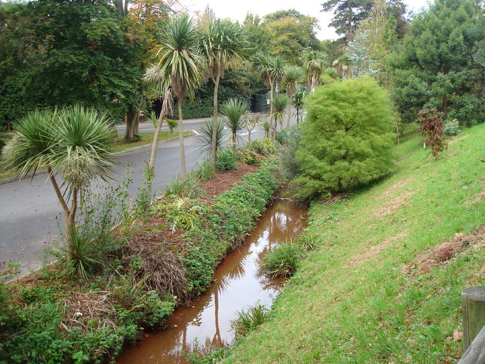 DSC05697 - ZOO PAIGNTON