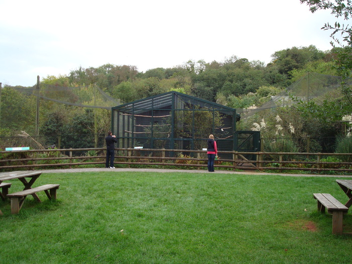 DSC05728 - ZOO PAIGNTON