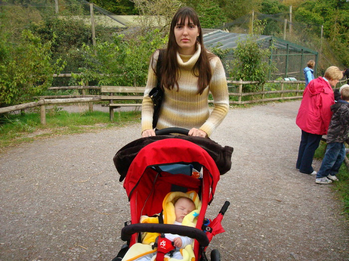 DSC05745 - ZOO PAIGNTON