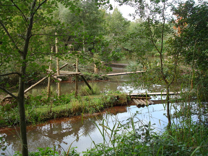 DSC05764 - ZOO PAIGNTON