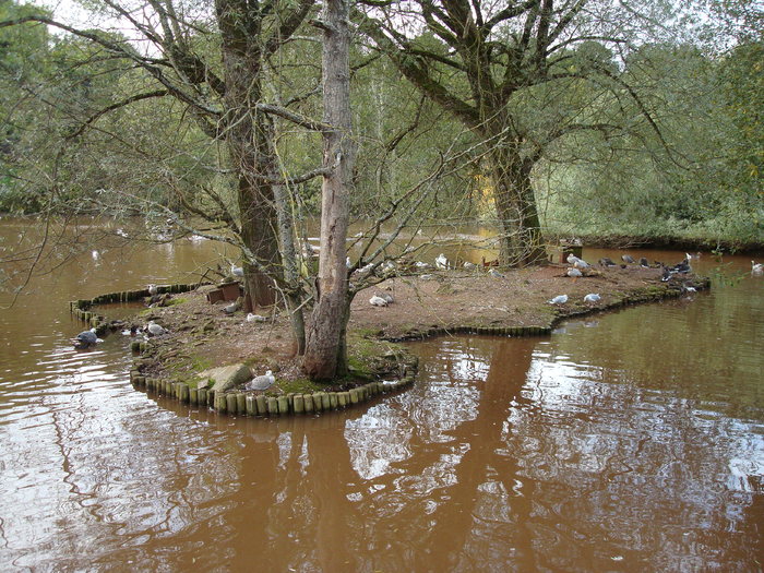 DSC05777 - ZOO PAIGNTON