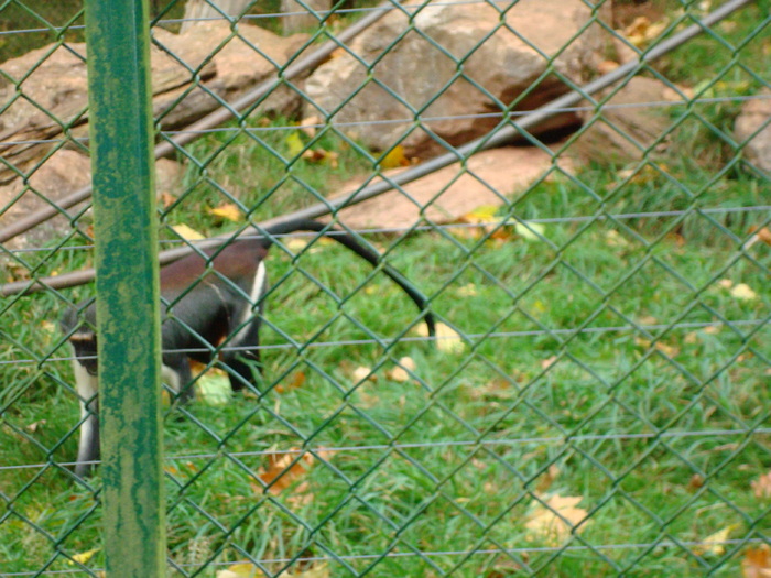 DSC05790