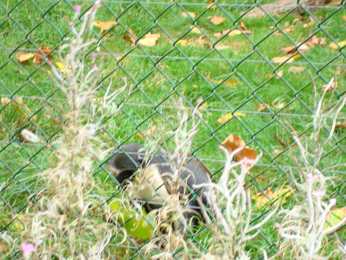 DSC05791