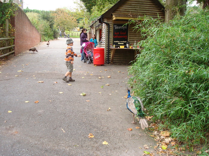DSC05795