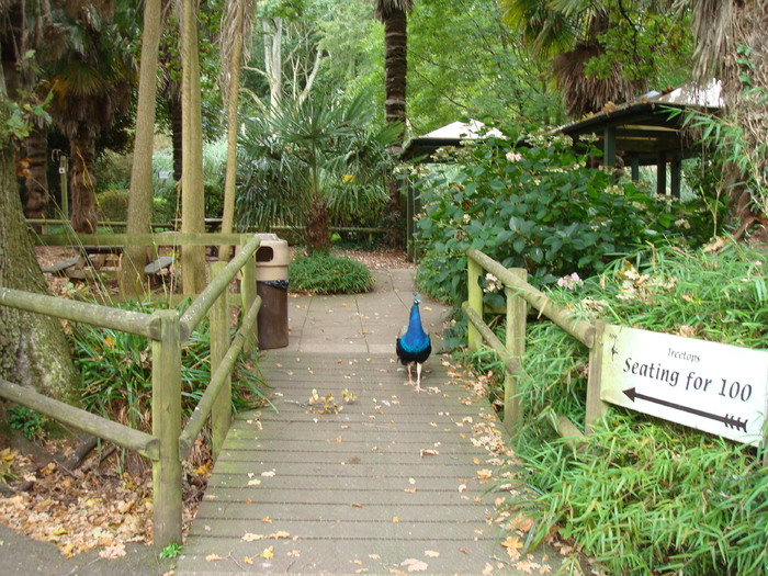 DSC05797