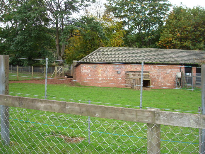 DSC05805 - ZOO PAIGNTON