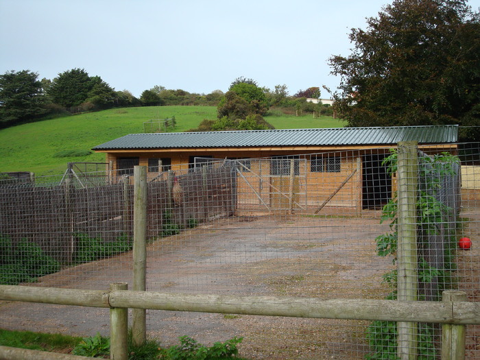 DSC05810 - ZOO PAIGNTON