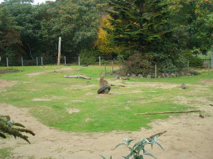 DSC05825 - ZOO PAIGNTON