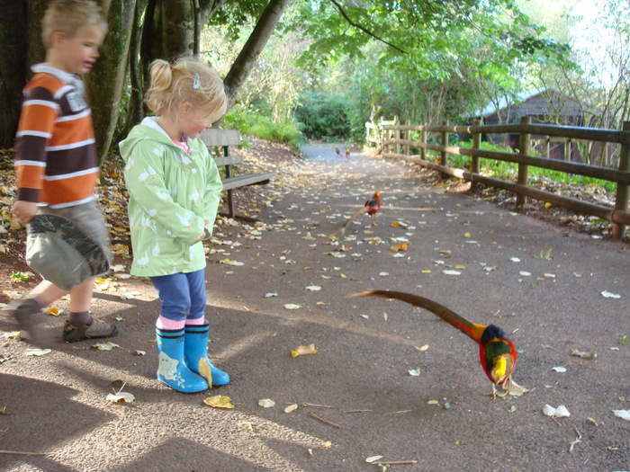 DSC05833 - ZOO PAIGNTON