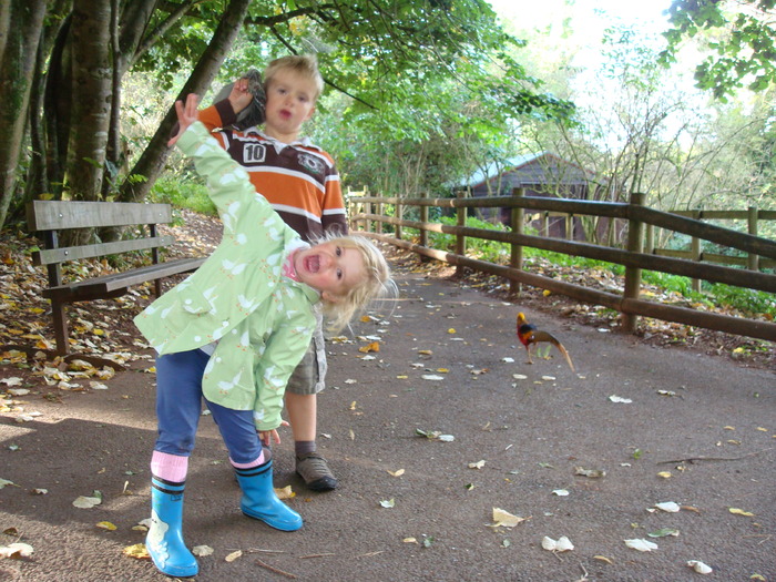 DSC05834 - ZOO PAIGNTON