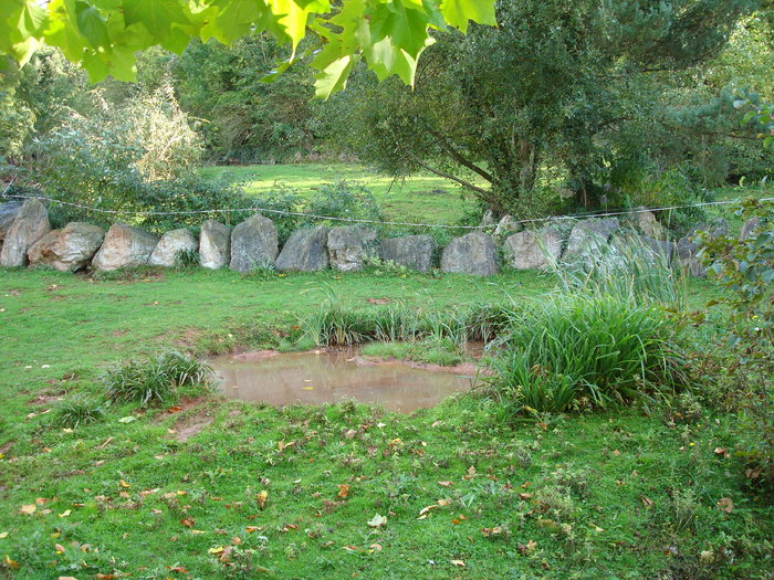 DSC05850 - ZOO PAIGNTON