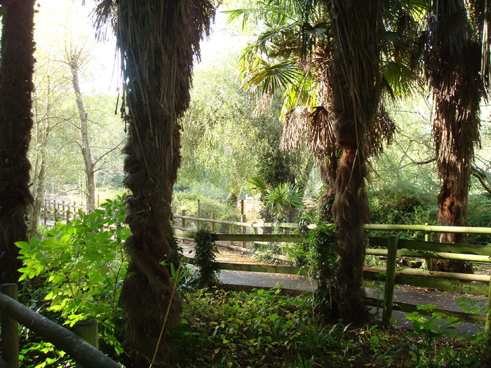 DSC05853 - ZOO PAIGNTON