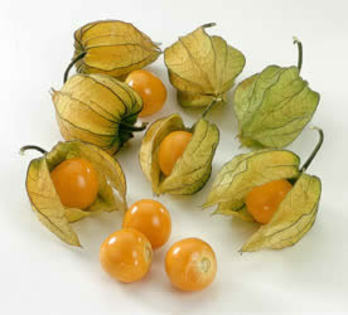 Physalis Peruviana - Ce voi avea in 2011