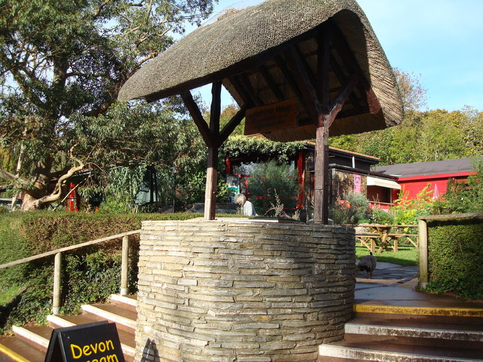 DSC05859 - ZOO PAIGNTON
