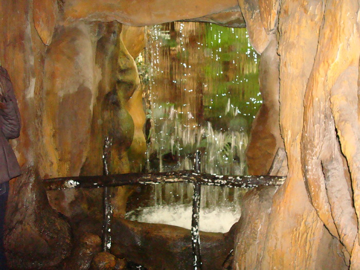 DSC05863