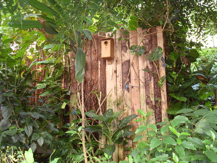 DSC05869 - ZOO PAIGNTON