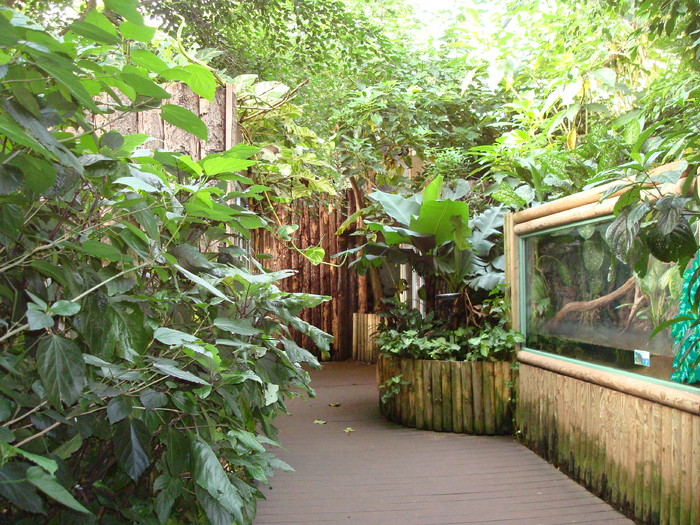 DSC05889 - ZOO PAIGNTON