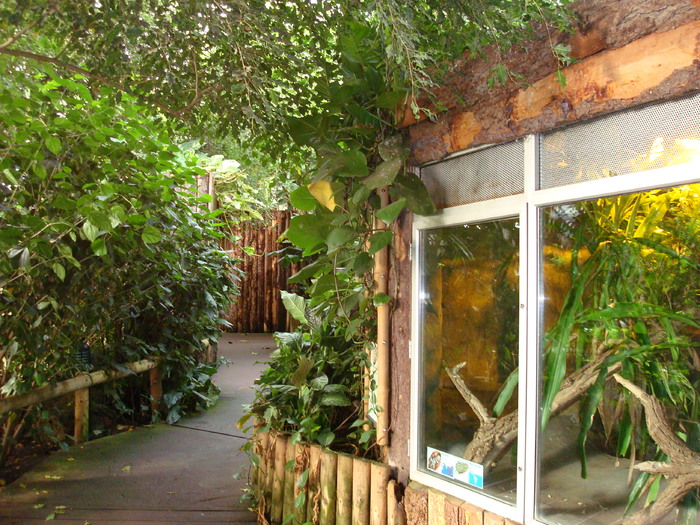 DSC05892 - ZOO PAIGNTON
