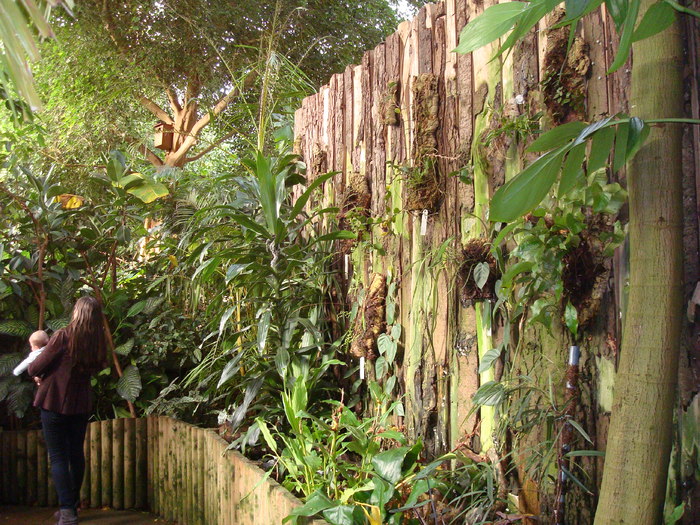 DSC05899 - ZOO PAIGNTON