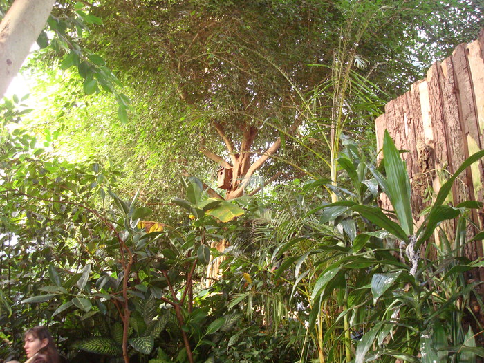 DSC05900 - ZOO PAIGNTON