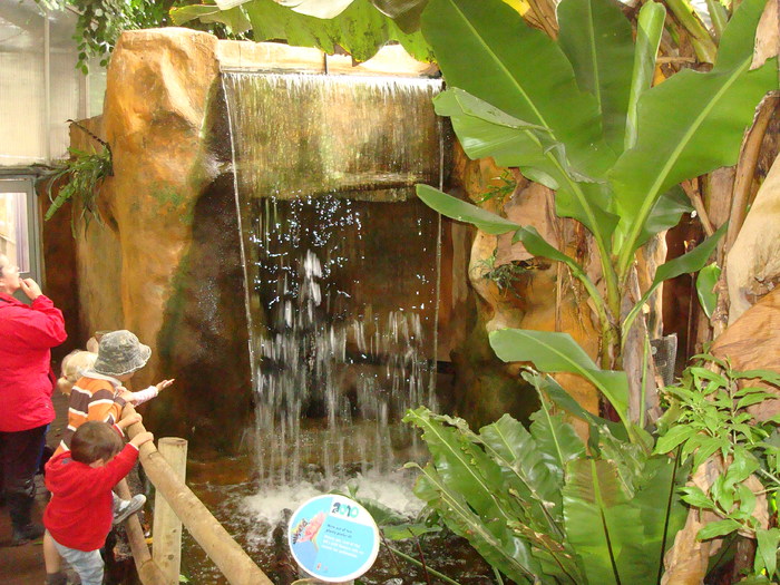 DSC05901 - ZOO PAIGNTON