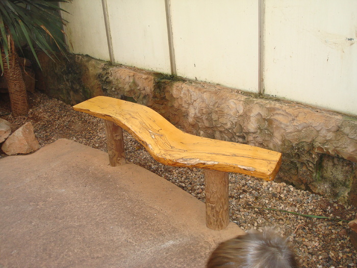 DSC05907 - ZOO PAIGNTON