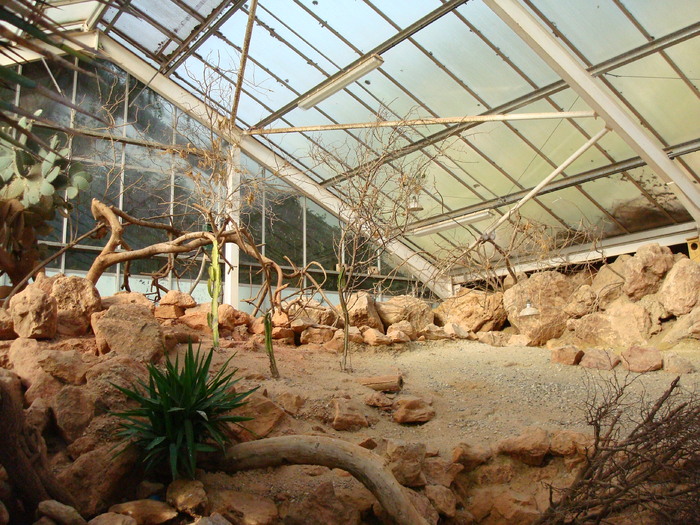 DSC05909 - ZOO PAIGNTON