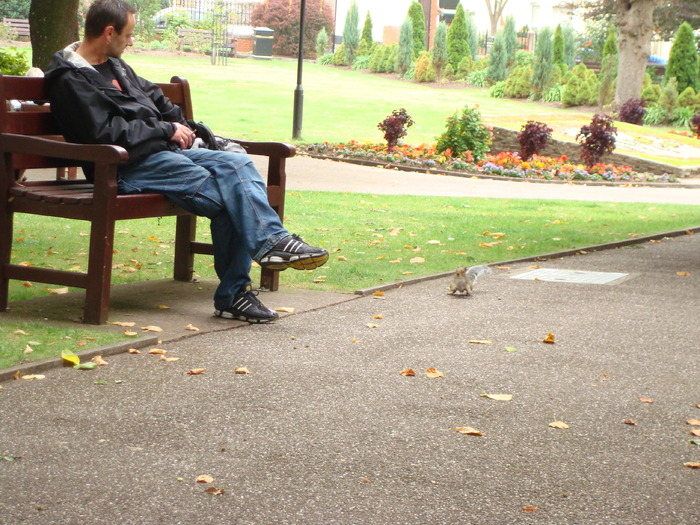 in parcul Manor,Exmouth (4)