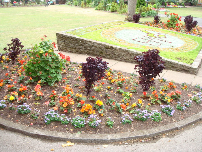 in parcul Manor,Exmouth (31)